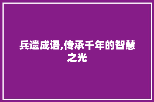 兵遗成语,传承千年的智慧之光