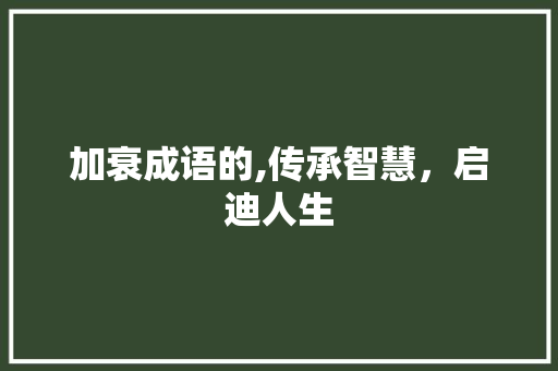 加衰成语的,传承智慧，启迪人生