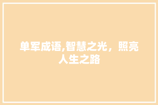 单军成语,智慧之光，照亮人生之路