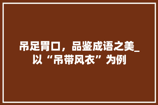 吊足胃口，品鉴成语之美_以“吊带风衣”为例