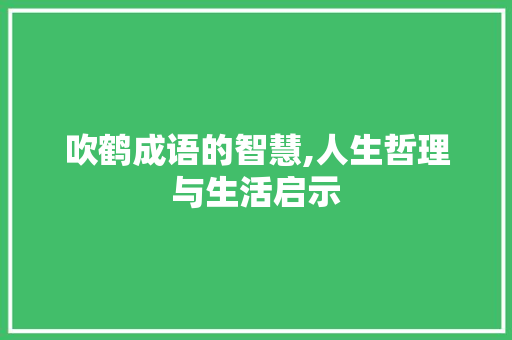 吹鹤成语的智慧,人生哲理与生活启示