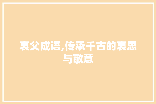 哀父成语,传承千古的哀思与敬意