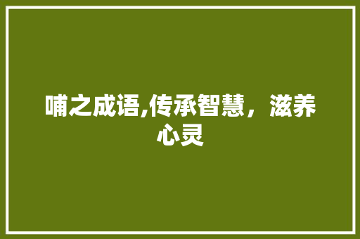 哺之成语,传承智慧，滋养心灵