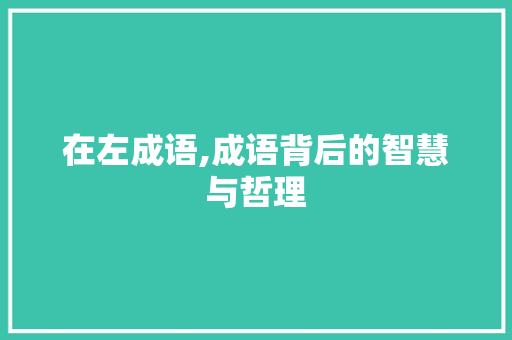 在左成语,成语背后的智慧与哲理