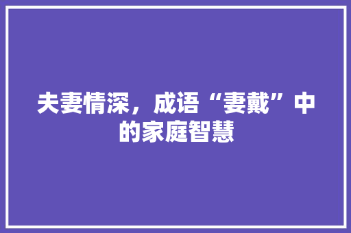 夫妻情深，成语“妻戴”中的家庭智慧