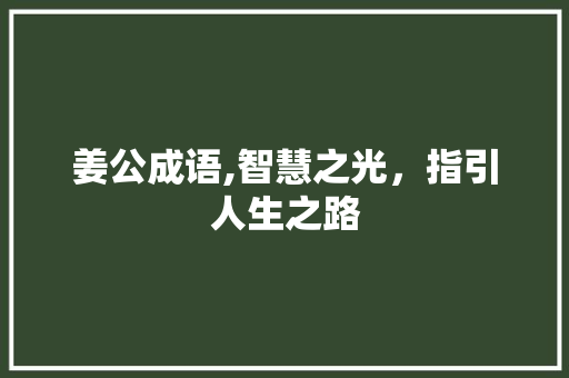 姜公成语,智慧之光，指引人生之路