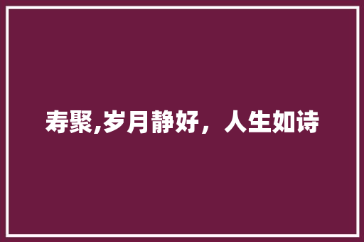 寿聚,岁月静好，人生如诗