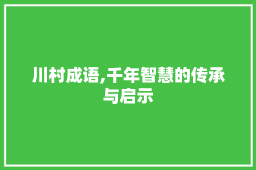 川村成语,千年智慧的传承与启示
