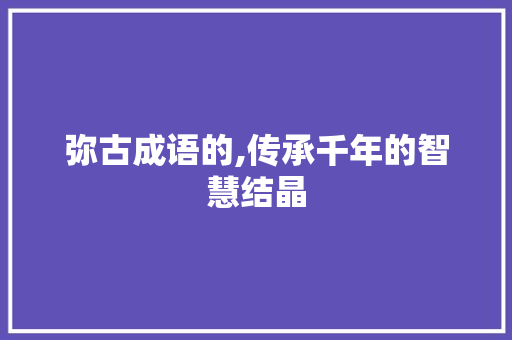 弥古成语的,传承千年的智慧结晶 工作计划