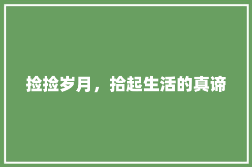 捡捡岁月，拾起生活的真谛