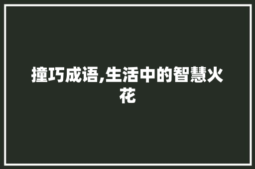 撞巧成语,生活中的智慧火花 工作总结