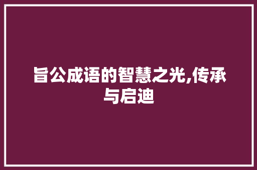 旨公成语的智慧之光,传承与启迪