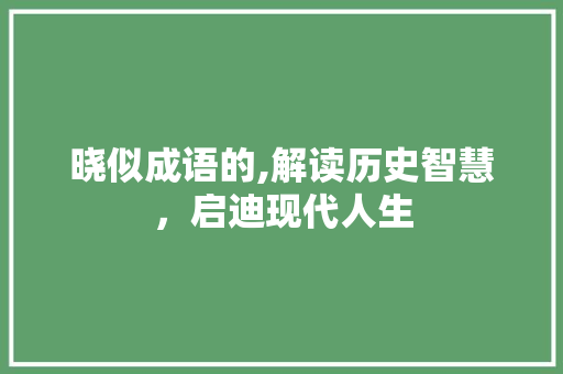 晓似成语的,解读历史智慧，启迪现代人生