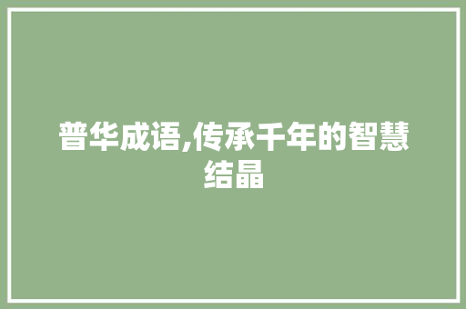 普华成语,传承千年的智慧结晶