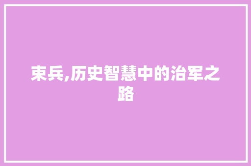 束兵,历史智慧中的治军之路