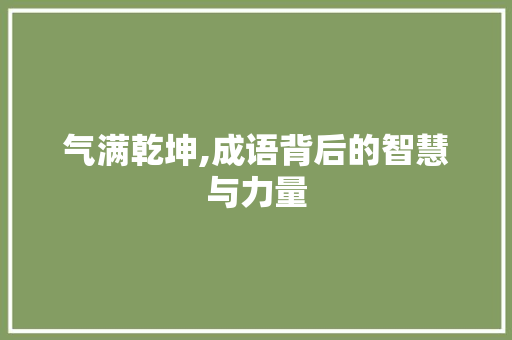 气满乾坤,成语背后的智慧与力量 国学经典