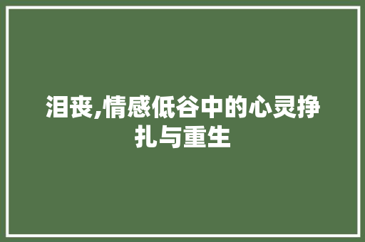 泪丧,情感低谷中的心灵挣扎与重生