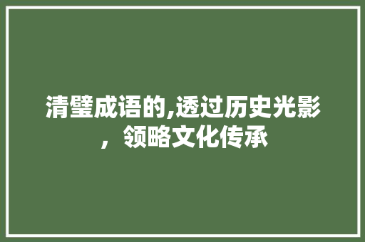 清璧成语的,透过历史光影，领略文化传承 成语大全