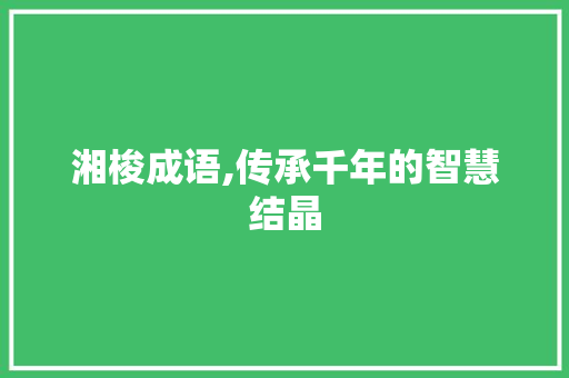 湘梭成语,传承千年的智慧结晶