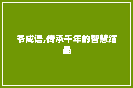 爷成语,传承千年的智慧结晶