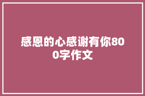 组长管理计划,构建高效团队的关键步骤