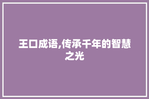 王口成语,传承千年的智慧之光