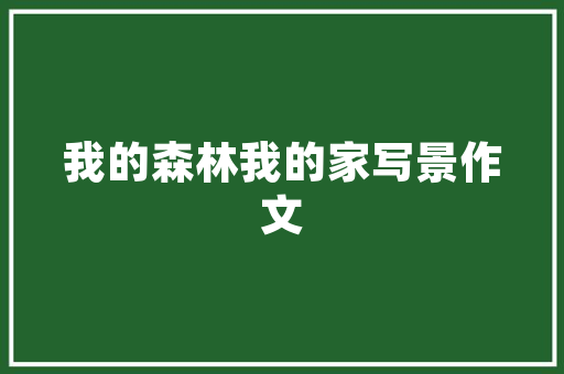终端评测创业计划,探索科技前沿，引领消费潮流
