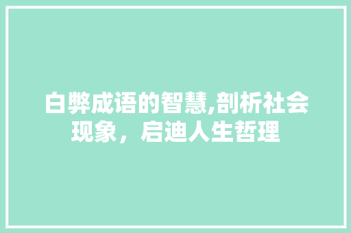白弊成语的智慧,剖析社会现象，启迪人生哲理