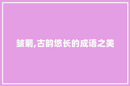皱菊,古韵悠长的成语之美