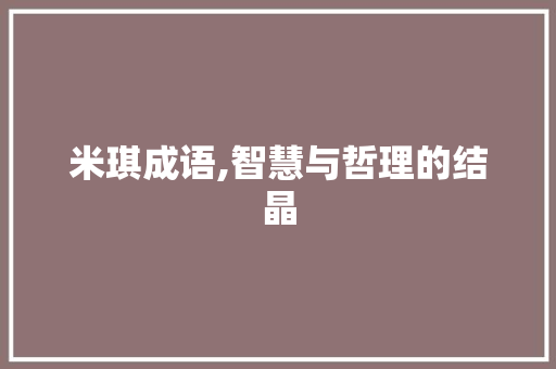 米琪成语,智慧与哲理的结晶