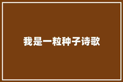 绒花店,绽放于岁月长河的温馨之花