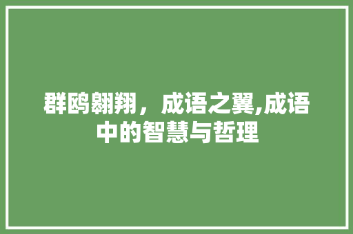群鸥翱翔，成语之翼,成语中的智慧与哲理