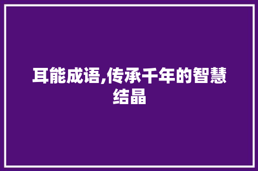 耳能成语,传承千年的智慧结晶