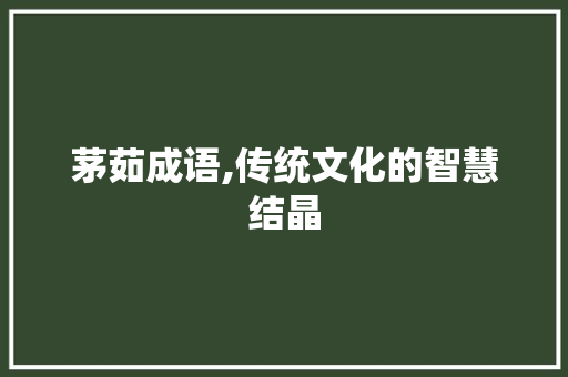 茅茹成语,传统文化的智慧结晶