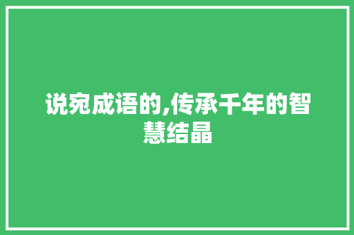 说宛成语的,传承千年的智慧结晶