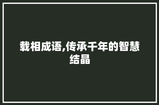 载相成语,传承千年的智慧结晶