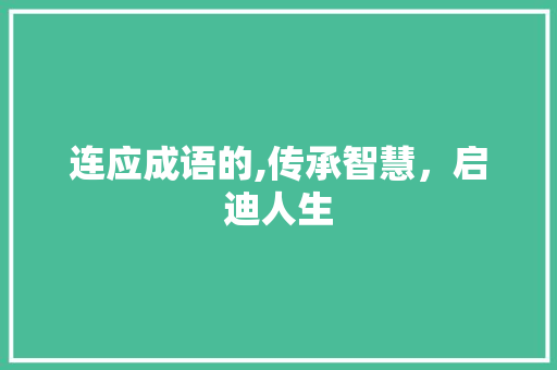 连应成语的,传承智慧，启迪人生