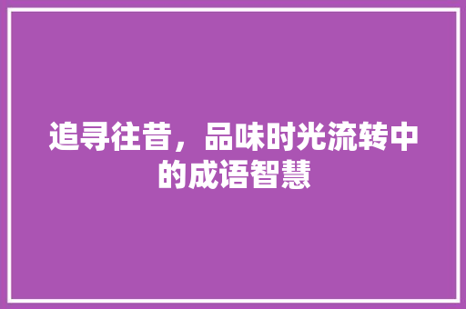 追寻往昔，品味时光流转中的成语智慧