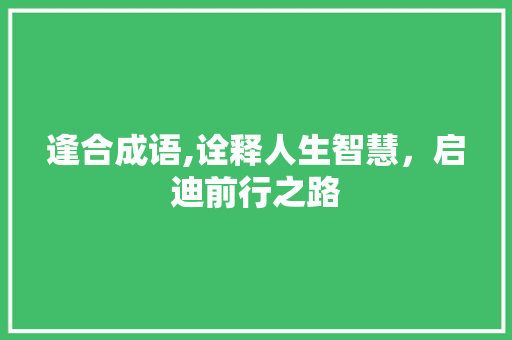 逢合成语,诠释人生智慧，启迪前行之路