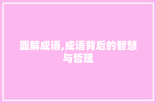 面解成语,成语背后的智慧与哲理