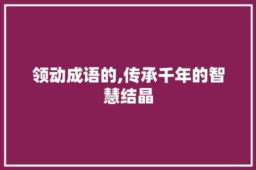 领动成语的,传承千年的智慧结晶