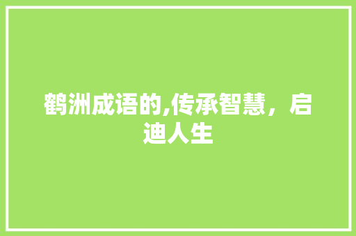 鹤洲成语的,传承智慧，启迪人生