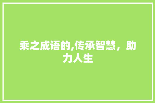 乘之成语的,传承智慧，助力人生 工作总结