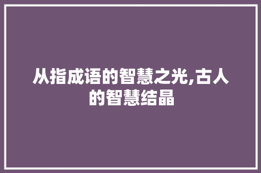 从指成语的智慧之光,古人的智慧结晶