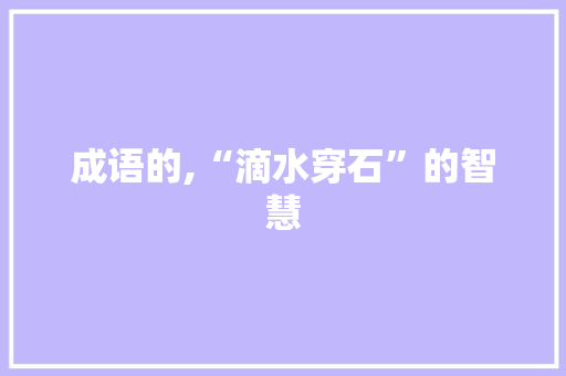 成语的,“滴水穿石”的智慧