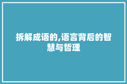 拆解成语的,语言背后的智慧与哲理