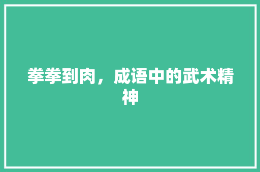 拳拳到肉，成语中的武术精神