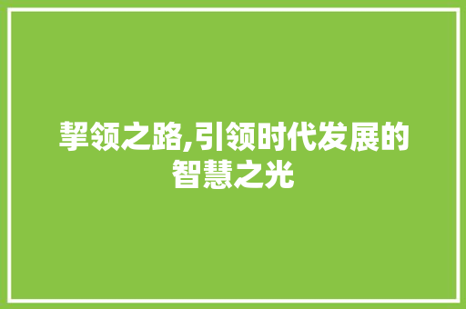 挈领之路,引领时代发展的智慧之光