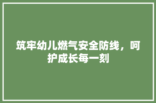 筑牢幼儿燃气安全防线，呵护成长每一刻