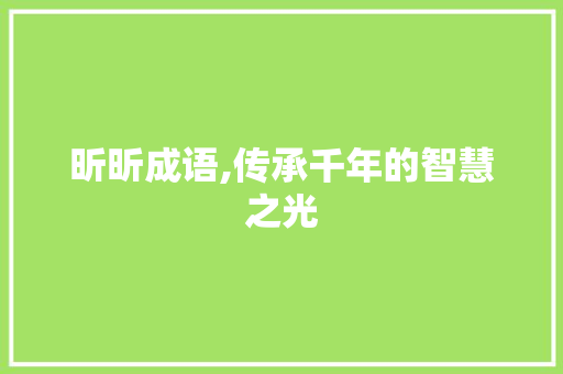 昕昕成语,传承千年的智慧之光